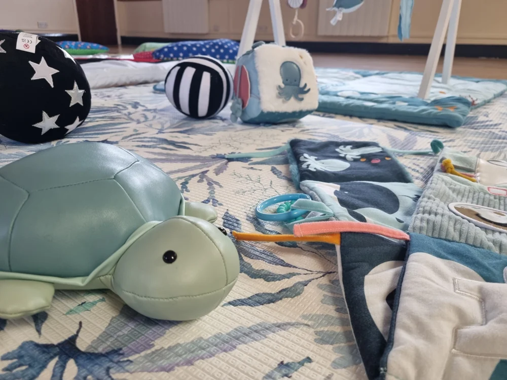 Soft sensory toys, a fabric turtle and high-contrast resources on a play mat